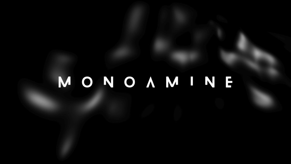 Monoamine