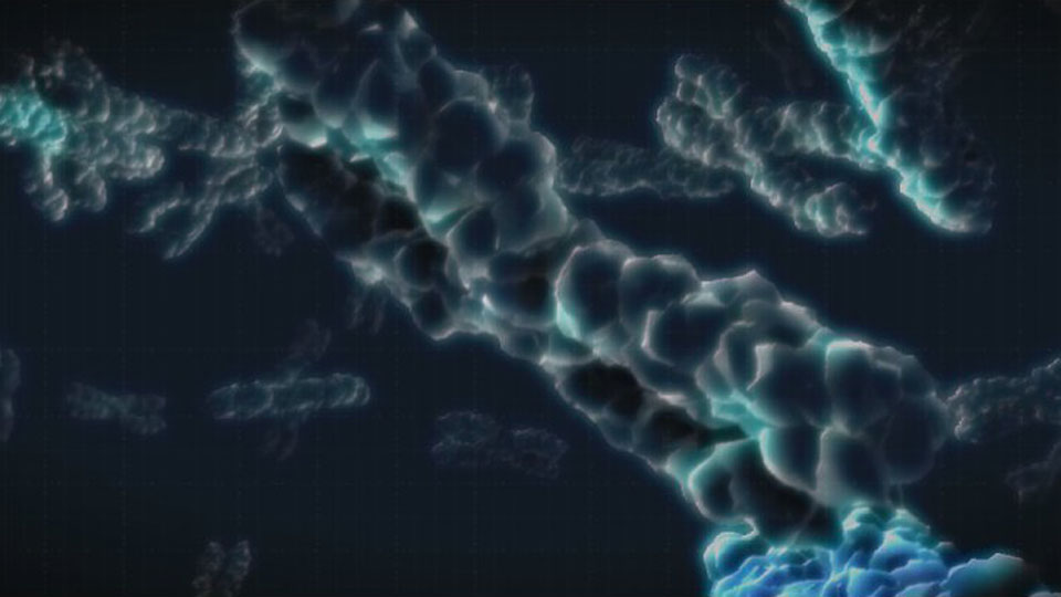 Turtles all the way down