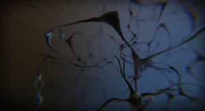 cortex sous-vide