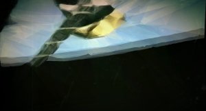 a transmission from planet kewltron